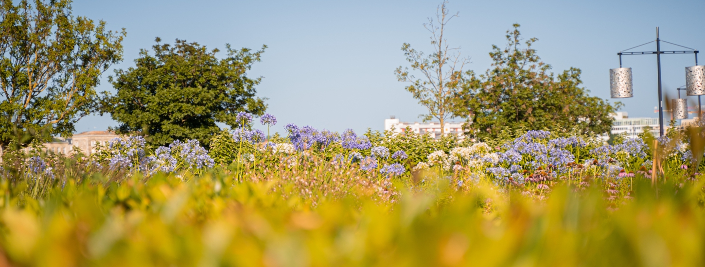 Quais de Bordeaux aménagements extérieurs végétalisés