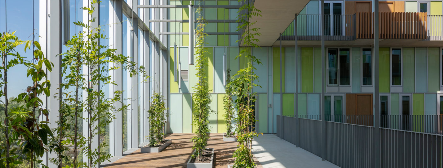 Immeuble hybride de logement et tertiaire avec végétation intégrée