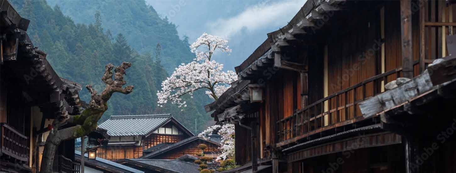 Le bois, matière vivante de l’architecture japonaise