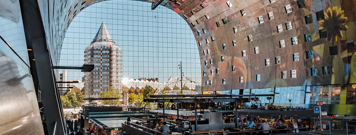 Parois en pierre taillée naturelle grise