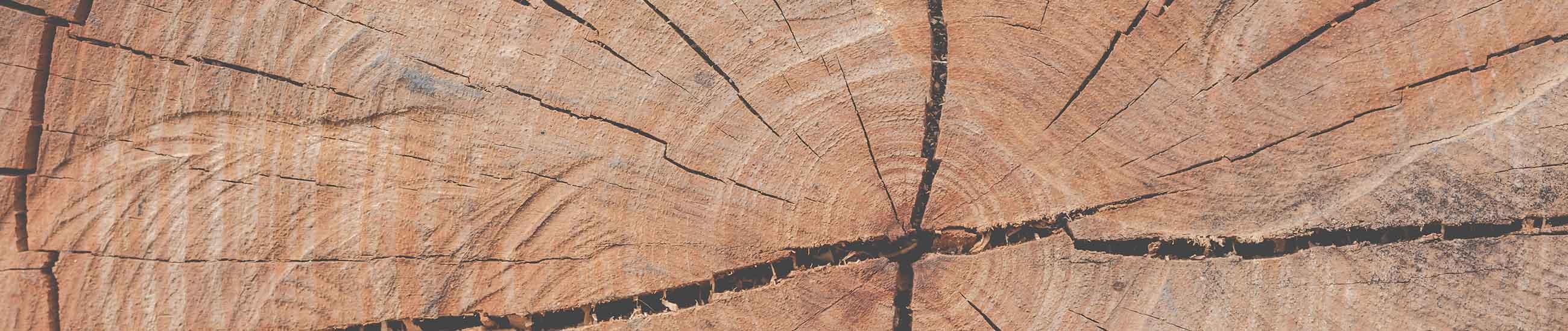 Le matériau bois, durabilité, résistance et esthétisme