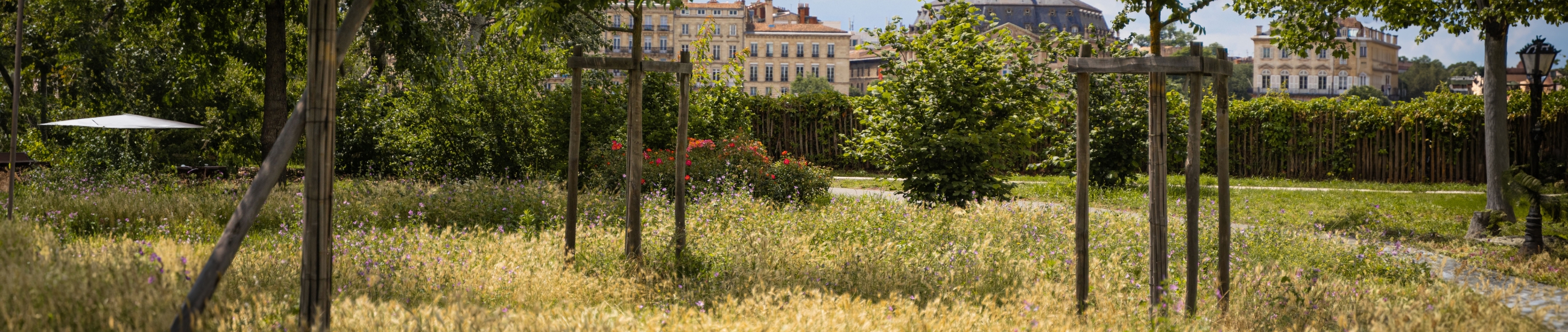 Connaître les grandes étapes de mise en oeuvre d'un projet de territoire et prendre en compte l'environnement de manière globale dans les projets, plans et programmes.