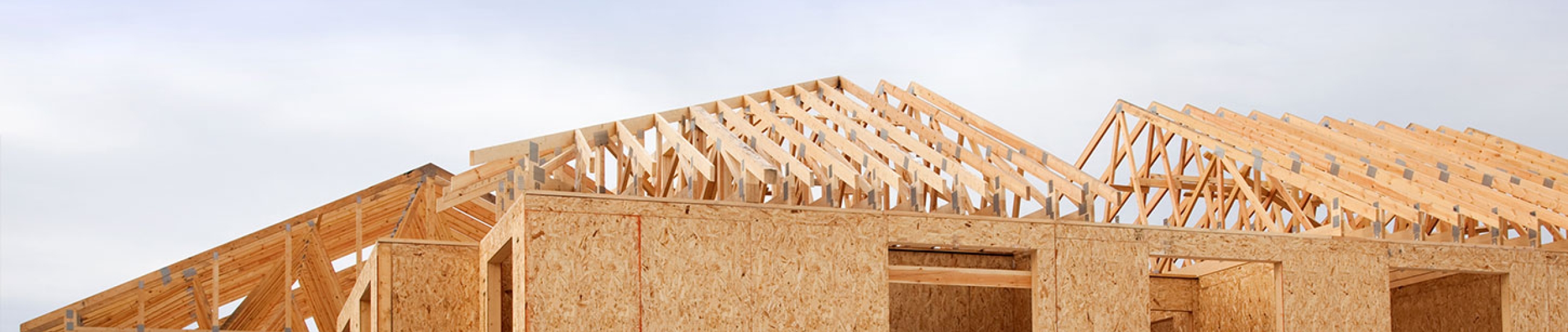 Projet de construction avec les panneaux de bois - FCBA