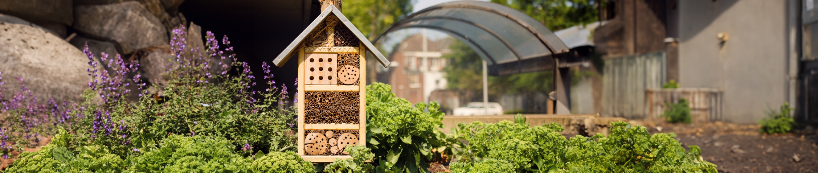 MAJ Formation Architecture | Introduire de la biodivercité dans le paysage urbain