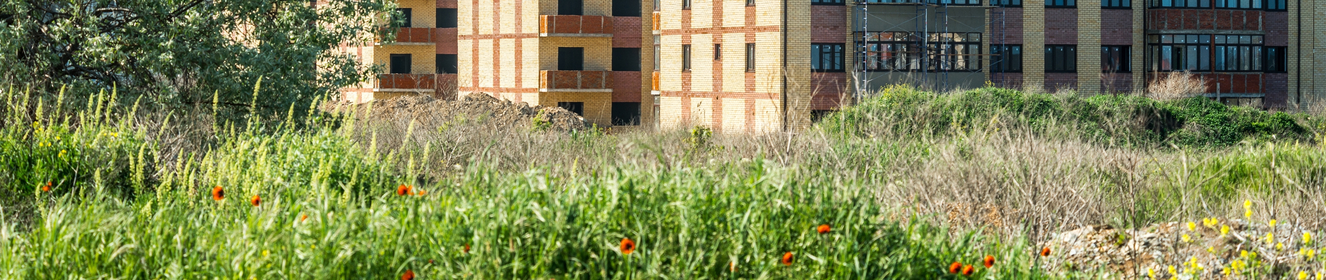 Avoir une meilleure connaissance des sols et de ses mécanismes pour une conception des projets de paysage en milieu urbain plus respectueuse.