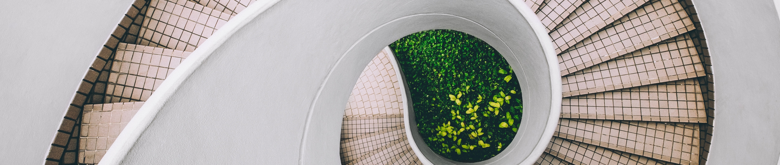 Aquérir les règles du Feng Shui pour convevoir un projet harmonieux et source de bien-être pour les habitants.