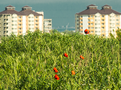 Créer des sols fertiles via le recyclage et l'économie circulaire - Génie agronomique