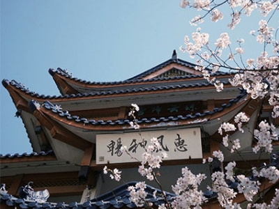 Construire en bois - de la structure, aux bardages en bois brulé - sur site technique Japon