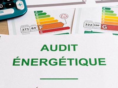 Calculer l'audit énergétique avec un logiciel évalué : rédiger le DTG et le PPPT d'une copropriété