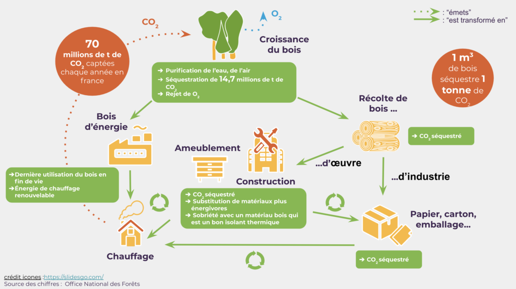 formation-concepteur-construction-bois-bas-carbone-maj-formation-architecture