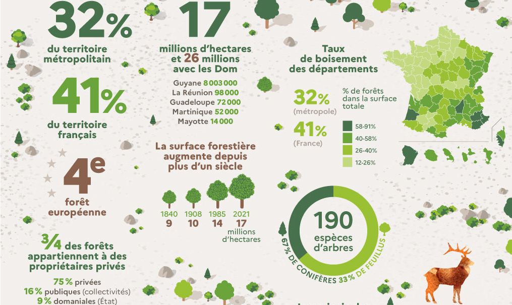 filière-forêt-bois-formation-conception-construction-bois-bas-carbone-maj-fibois